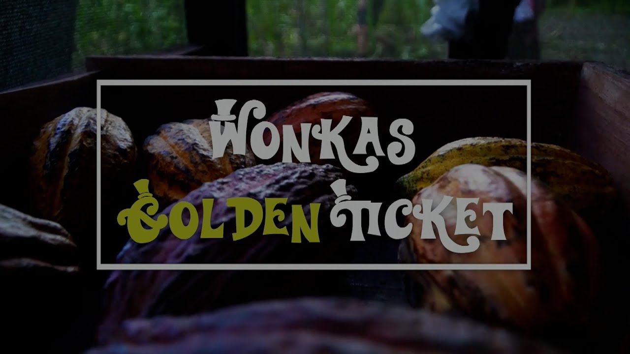 Wonka's Golden Ticket 2024