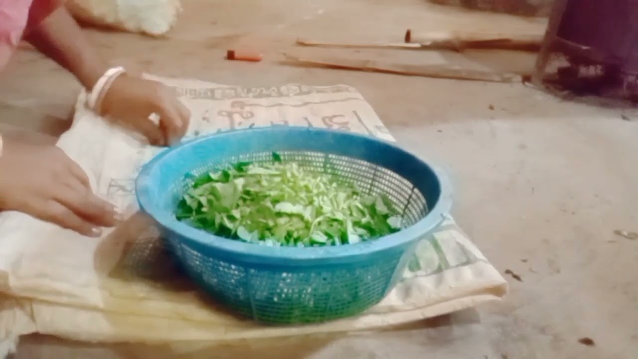 bangli vlog#