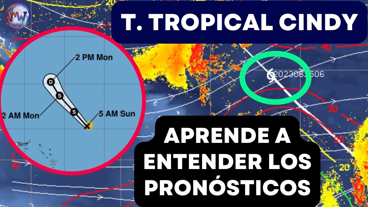 T. TROPICAL CINDY. APRENDE a INTERPRETAR un Pronóstico de Intensidad