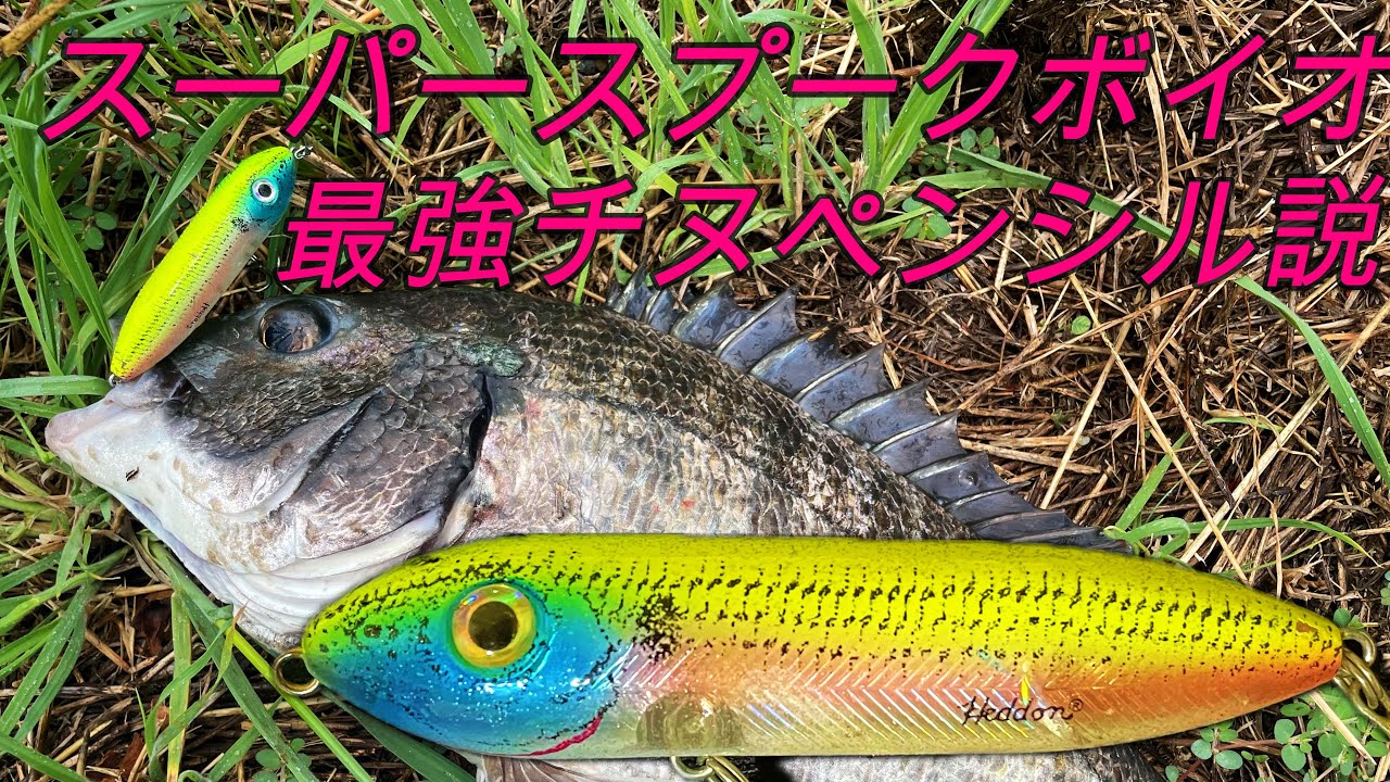スーパースプークボイオが１番釣れるペンシルかもしれない