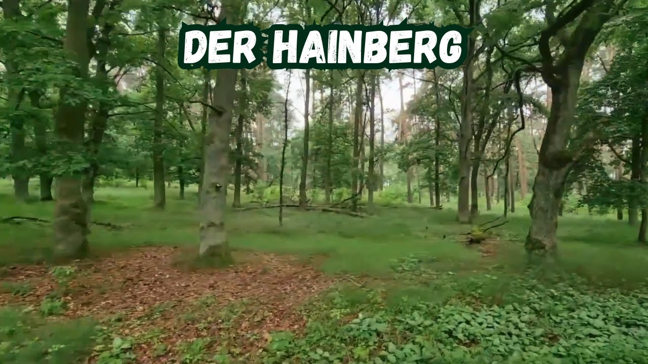 Der Hainberg ( Naturschutzgebiet) Teil 4 ℹ️nfo Video