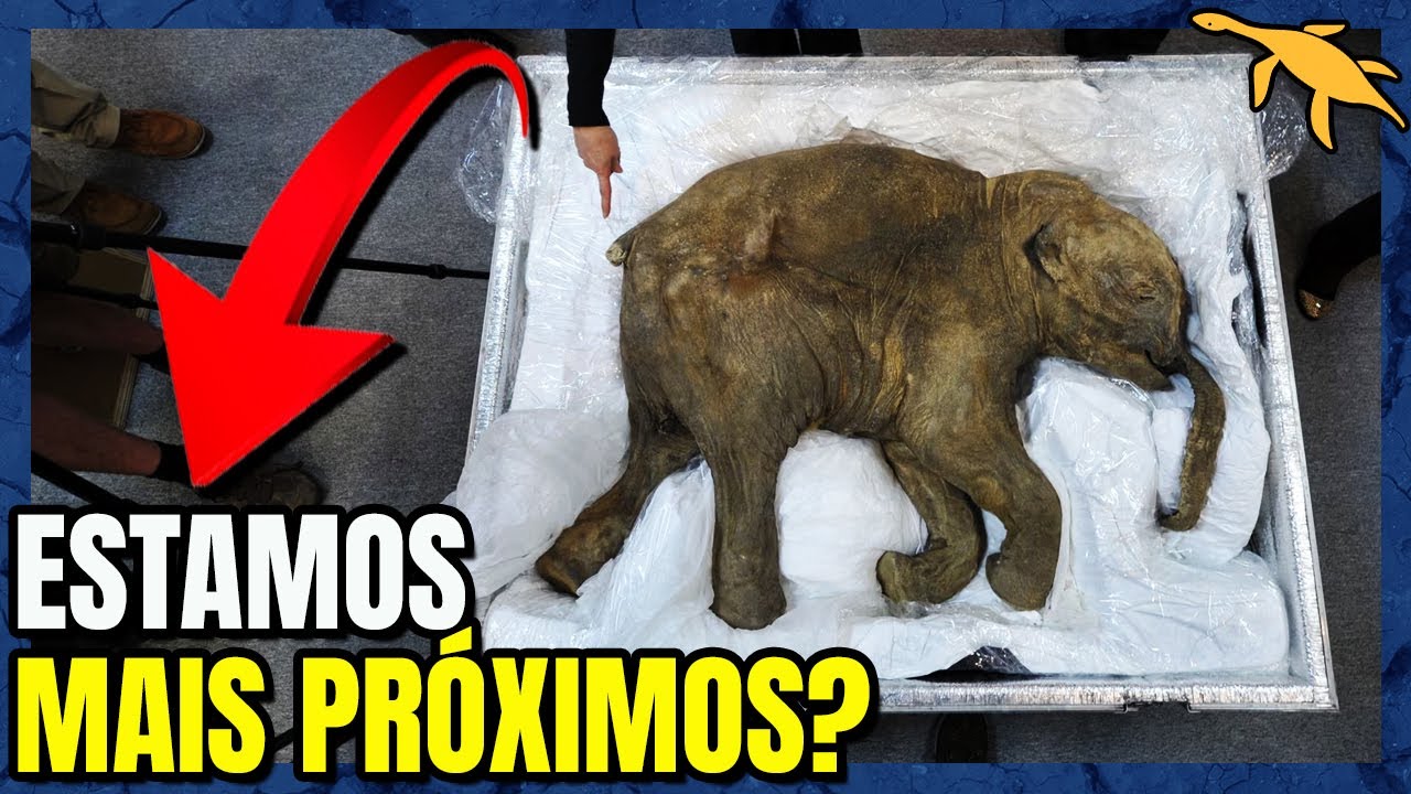 COMO a CIÊNCIA vai REVIVER o MAMUTE?