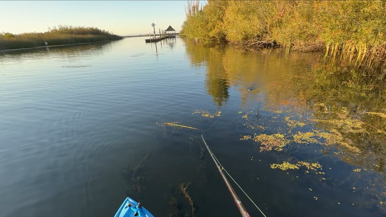 Little Trip off King Island | CA Delta