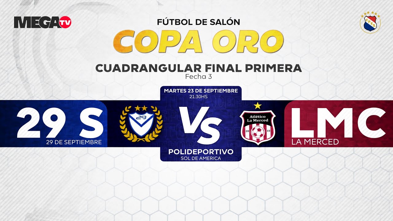 &iexcl;LA COPA DE ORO, EN VIVO POR MEGA TV!