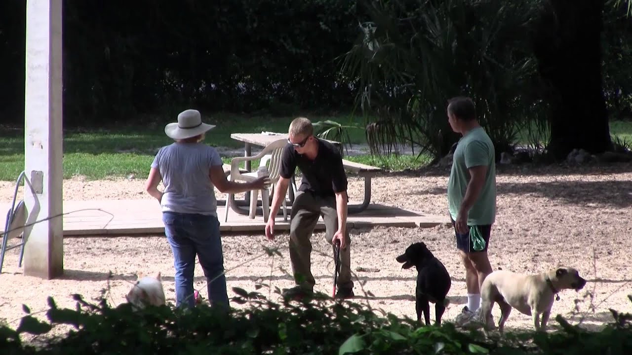 Blind Guy Walking Dead Animal Prank