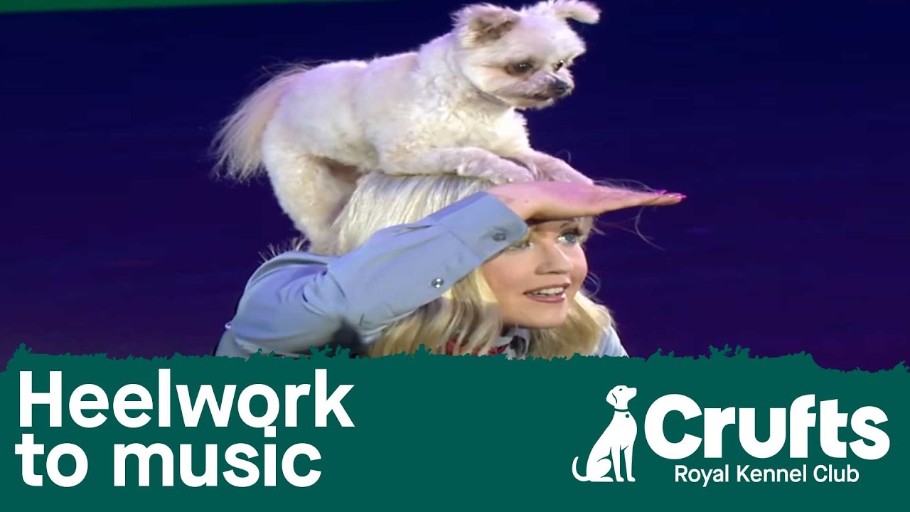 Freestyle Heelwork to Music Competition Winner | Crufts 2026