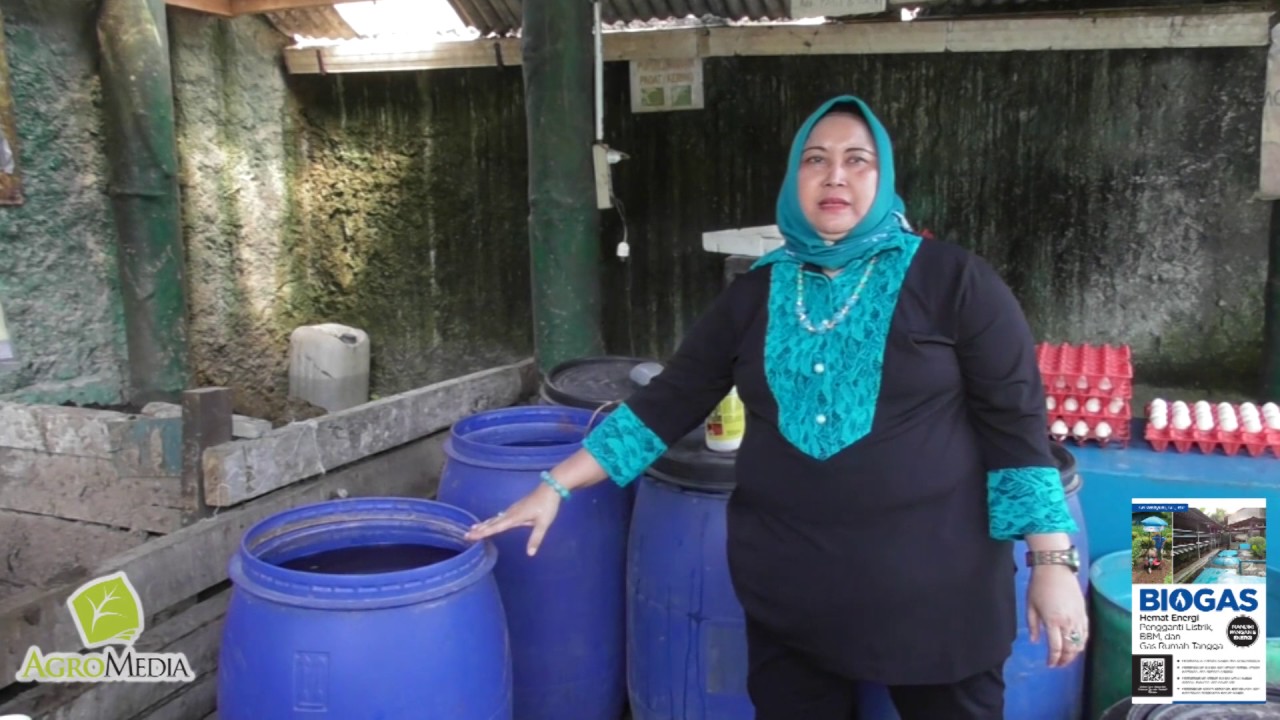 Cara Mengolah Kotoran Ternak Menjadi Biogas