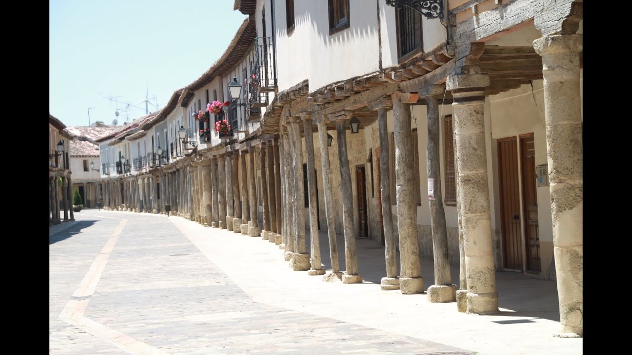Ampudia 4K