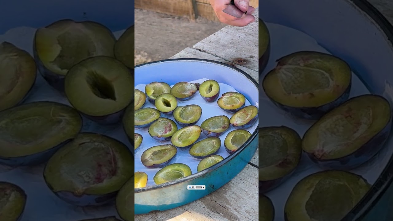 This Is How Grandma Made Sun-Dried Plums on the Farm ☀️ Americans Love This! 🇺🇸  #usa