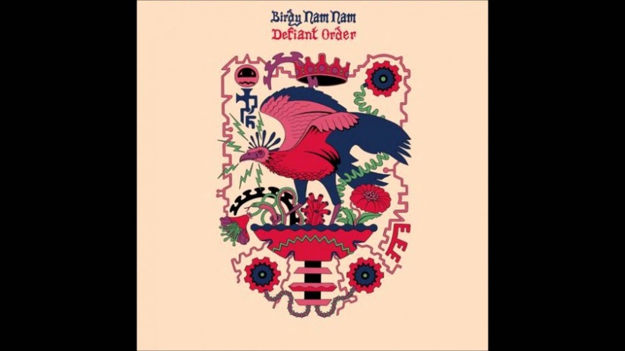 Birdy Nam Nam - Big City Knights