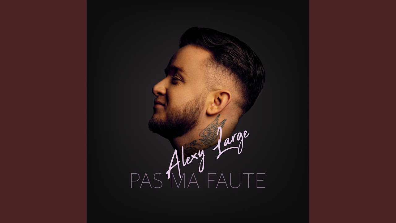 Pas ma faute