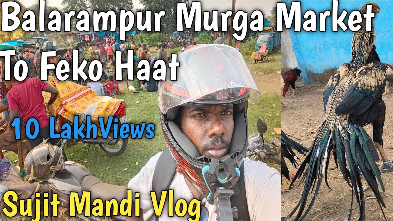 Balarampur Murga Market To Feko Murga Market 2024 l Sujit Mandi Vlog