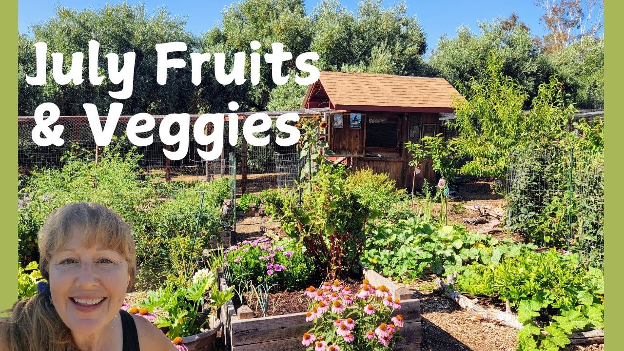 Summer Days on the Homestead ~ FRUIT Trees ~ Veggie Garden TOUR ~ Sheep, Goats, Ducks!