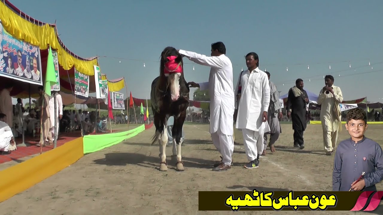 Mehboob ll Geernal ll Horse Dance Moqbala ll Murad K Kathia Harppa Sahiwal ll All Pakistan Compitat