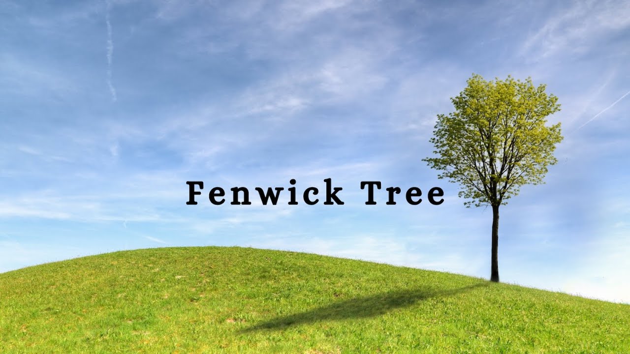 Fenwick Tree or Binary Indexed Tree