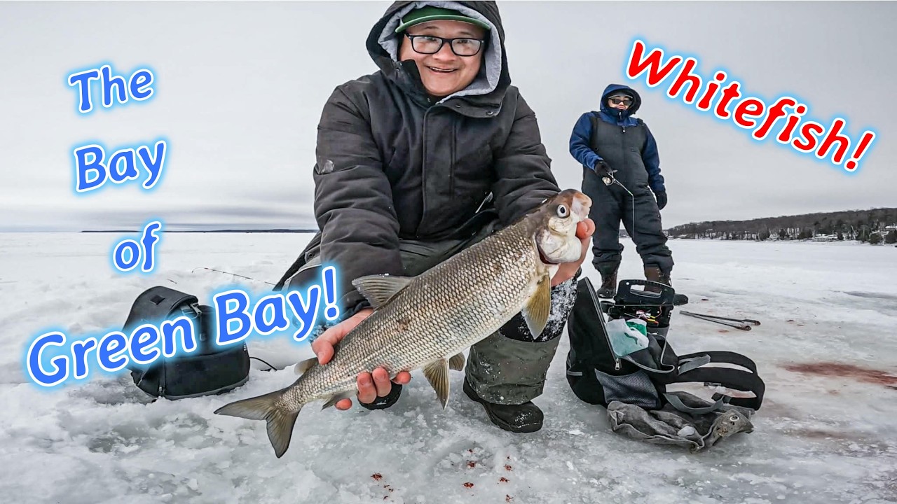 Another Great Day! Fishing for Whitefish on the Bay of Green Bay | Wisconsin Ice Fishing