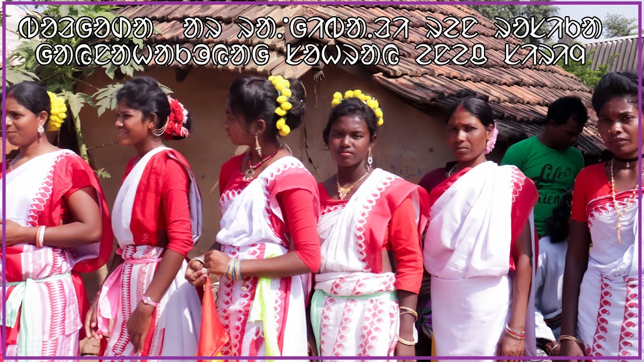 sanwaritv new santali || traditional  sahray song || akredojanam lena raimuni horo  || maan rasika