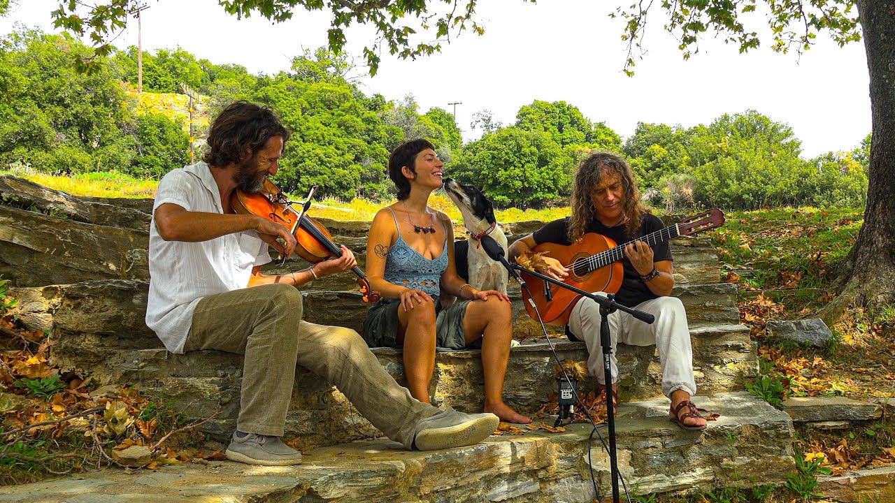 The Secret Voice of Insight - Meditation Healing Grounding Music