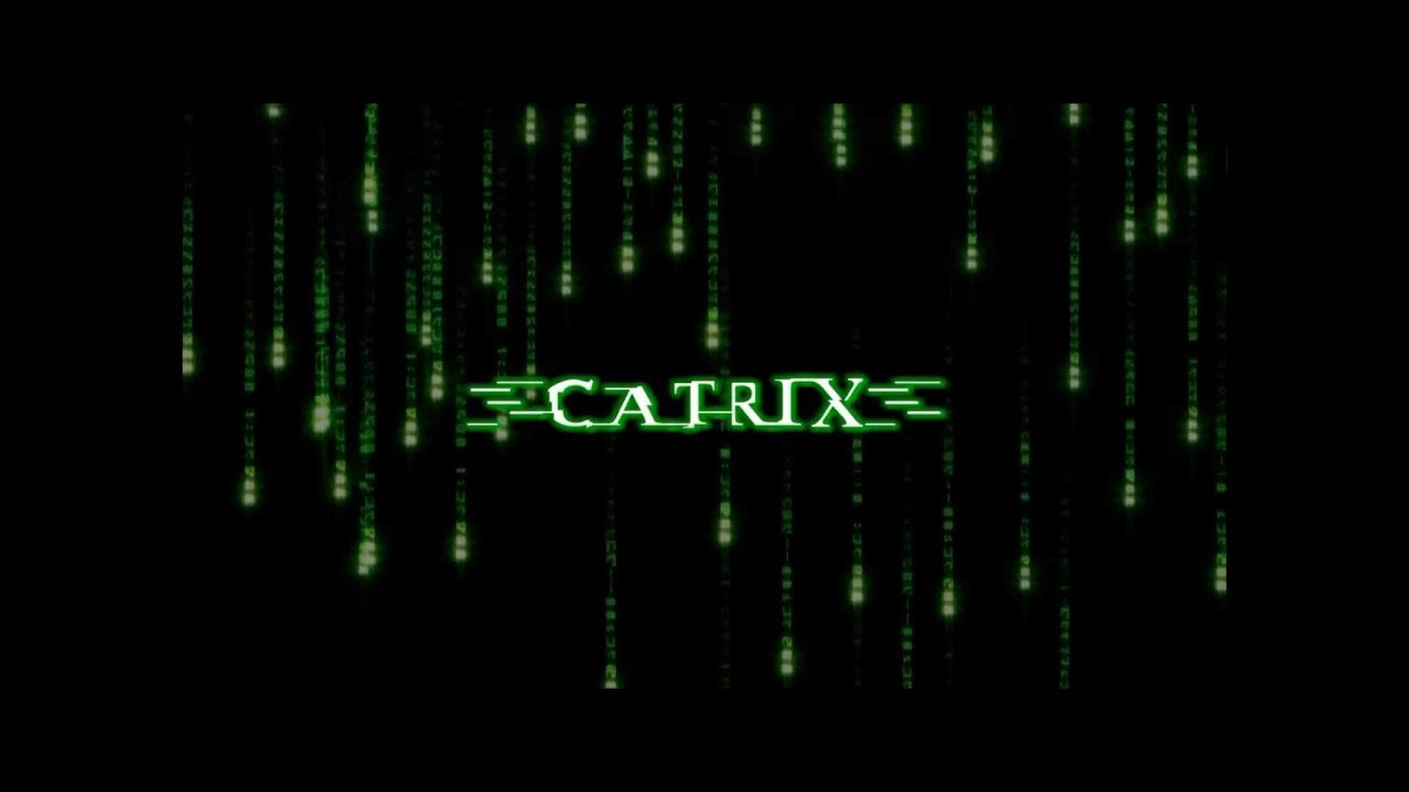 The Catrix - The Matrix: Resurrections