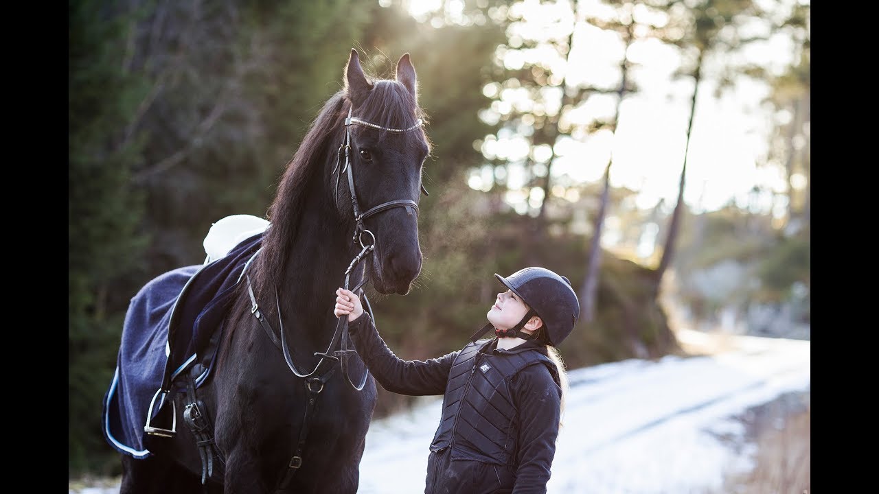 Den vesle jenta på den store hesten