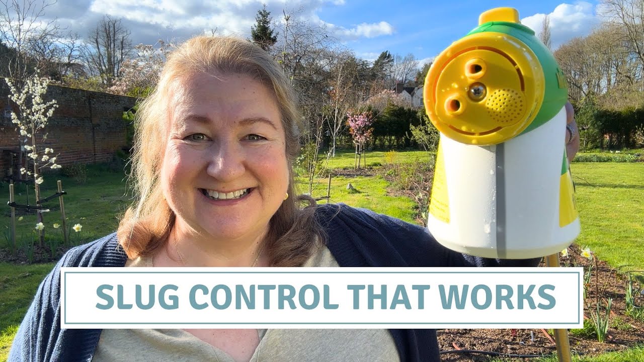 Effective Slug Control Using Nematodes // Cottoverdi