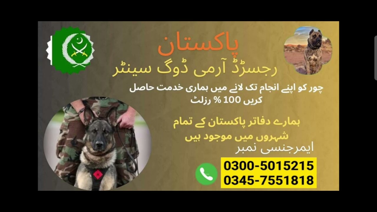 Pakistan Army Dog Center Best Service Khoji Kutte 