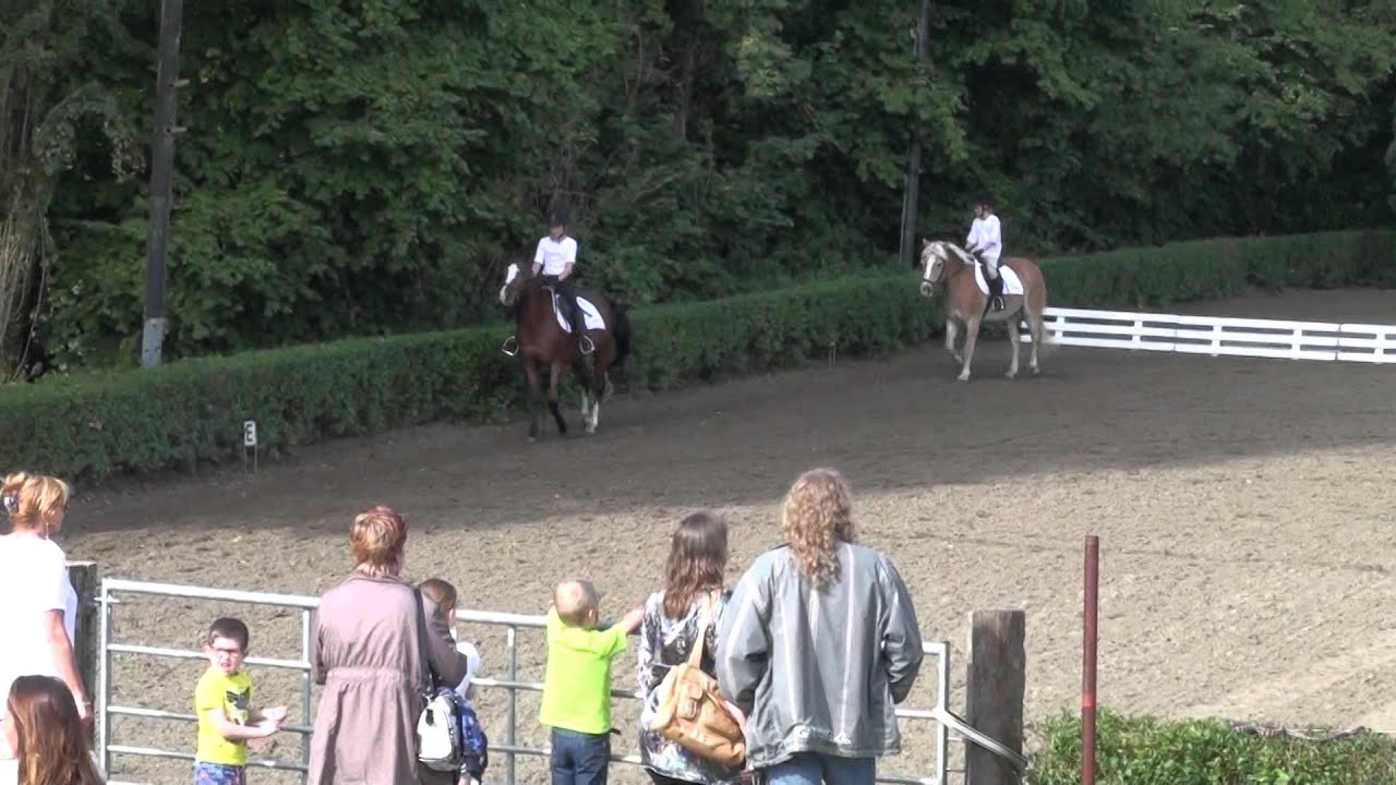 Open dag Capelse Manege