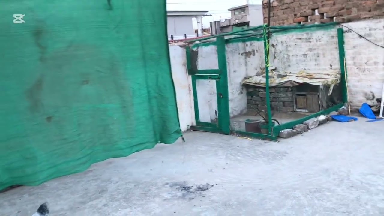 Aj hum kabootar ka laya tarpaal la gai ge 👍😎