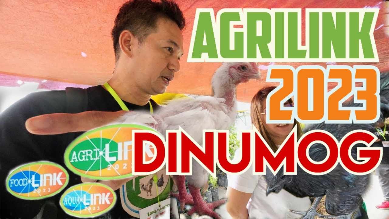 Ano ang meron sa Agri Link, Aqua Link, Food Link 2023