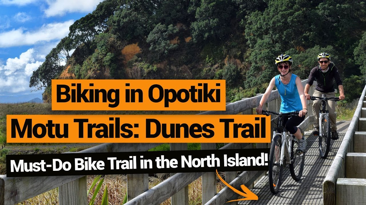 🚴 Biking the Motu Trails in Opotiki – New Zealand's Biggest Gap Year – Backpacker Guide New Zealand
