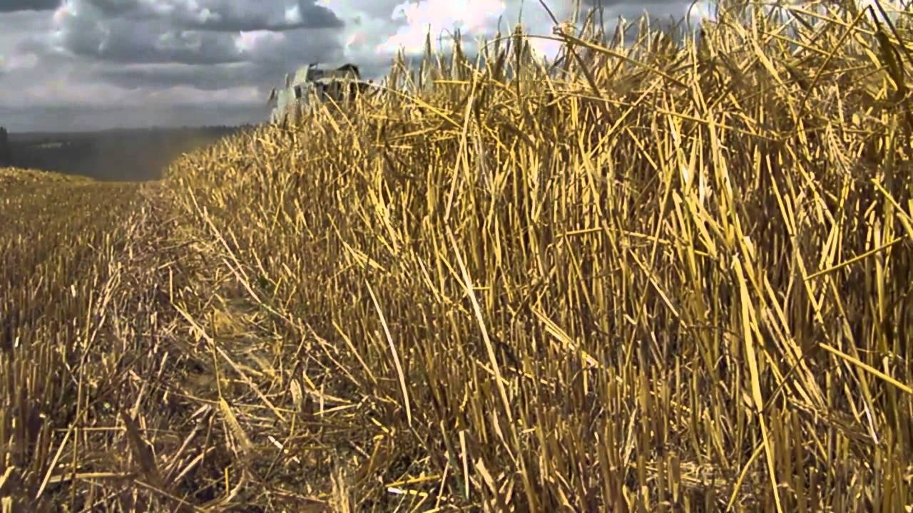 Žně 2014 ZD Velký Beranov [GoPro]