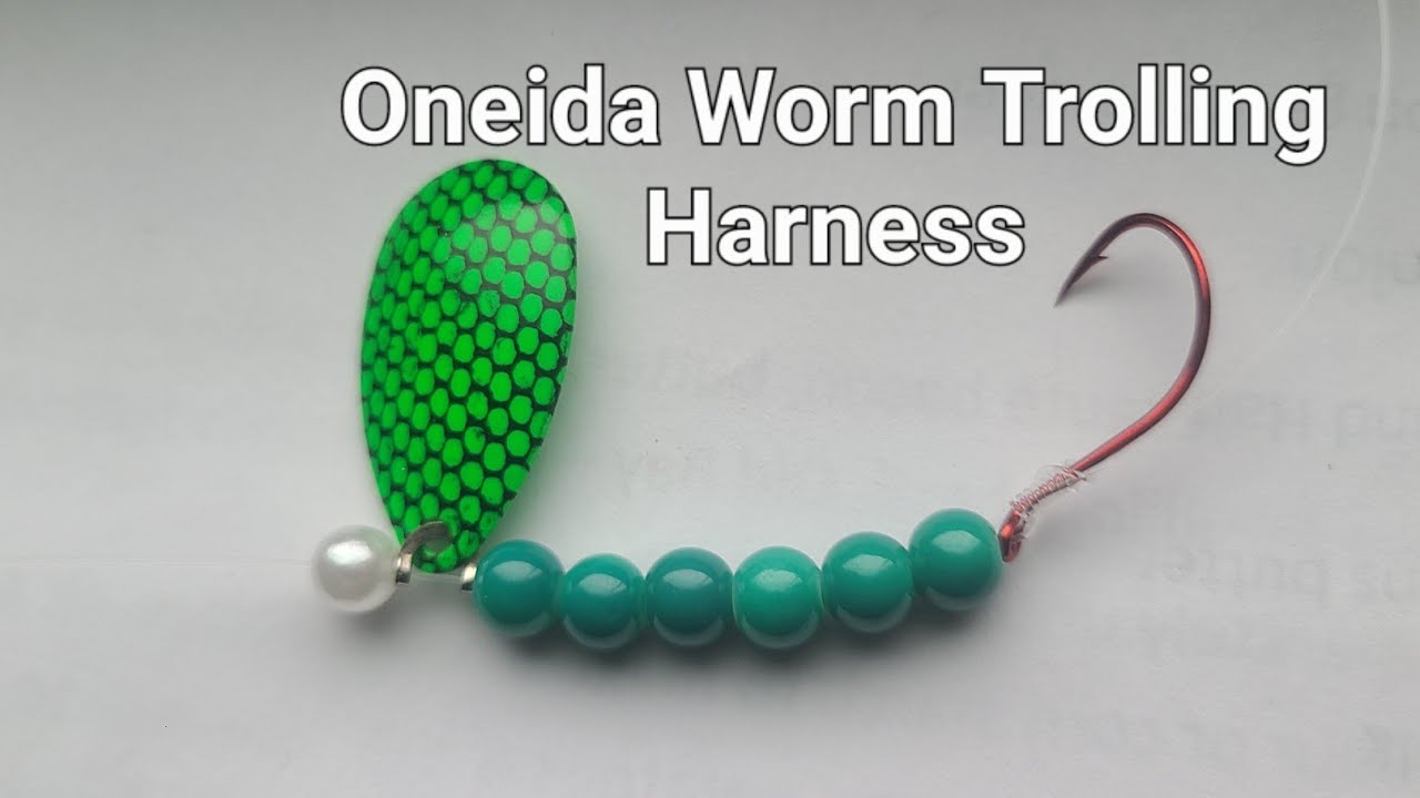 How to make a worm harness for walleye trolling.