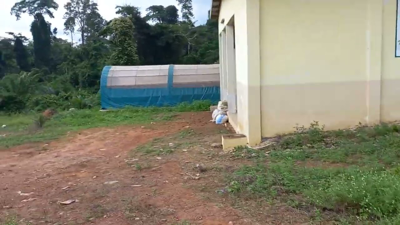 Côte d'Ivoire : Visite d'une unité de production d'attieke dans la région de LA ME