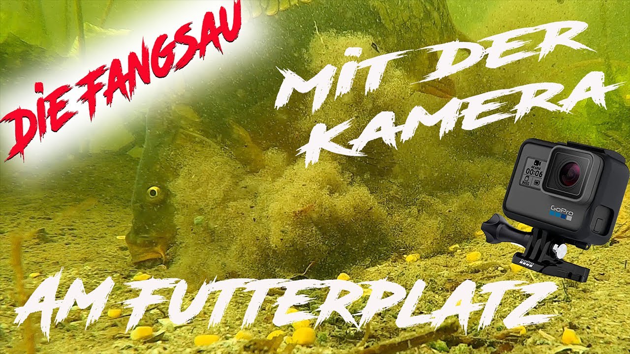 Unterwasserkamera am Futterplatz / Unterwasseraufnahmen beim angeln auf Karpfen