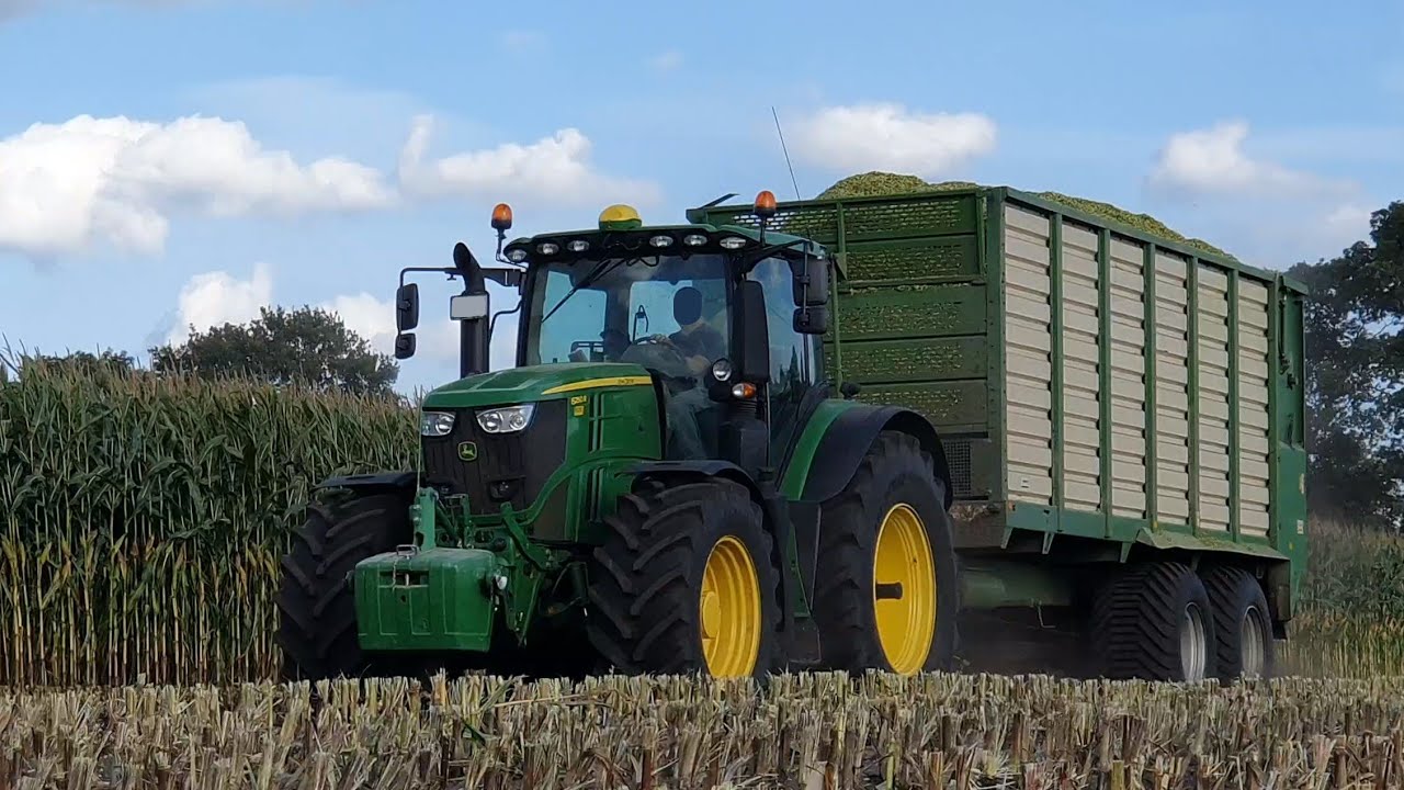 Maisernte 1455XL & 6250R