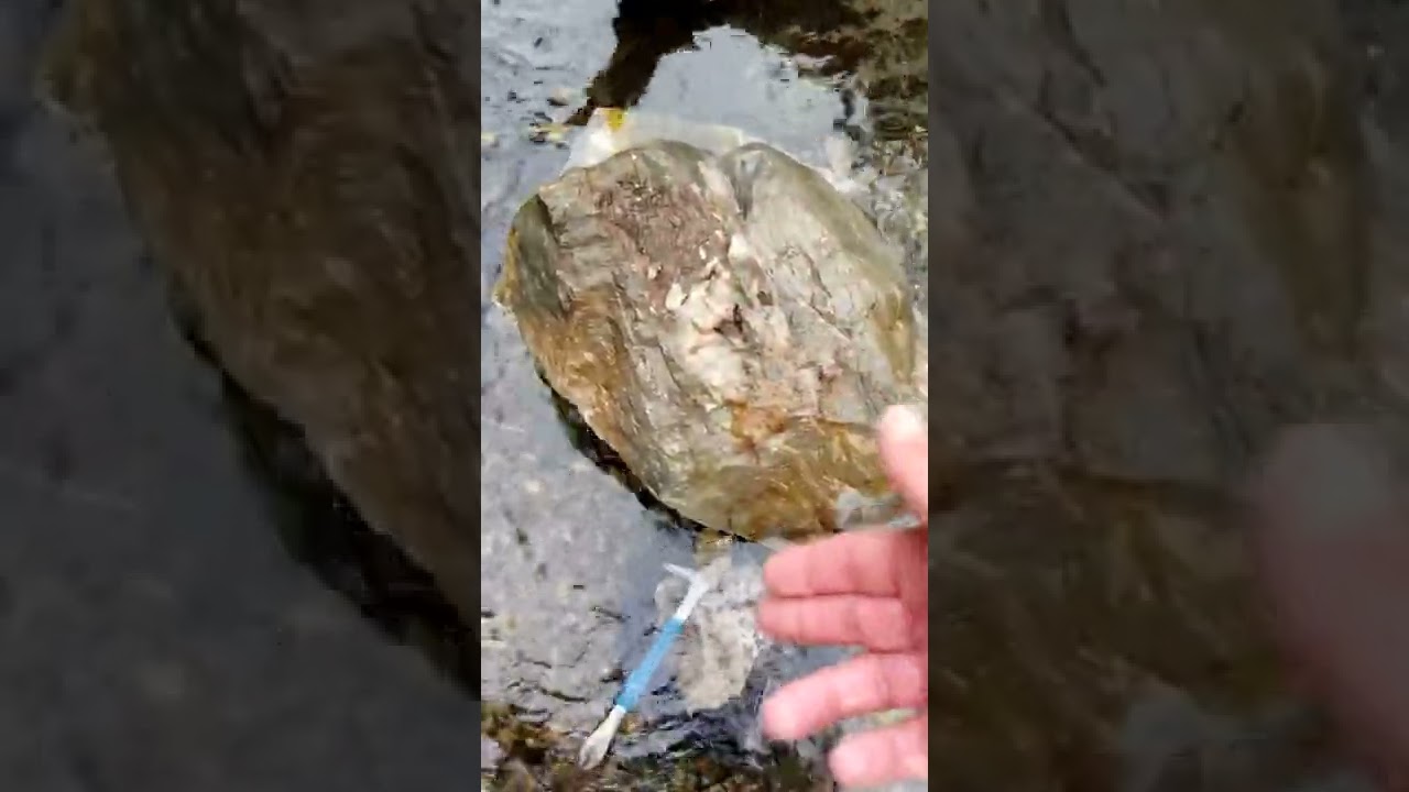 S8-E4 Found gold 