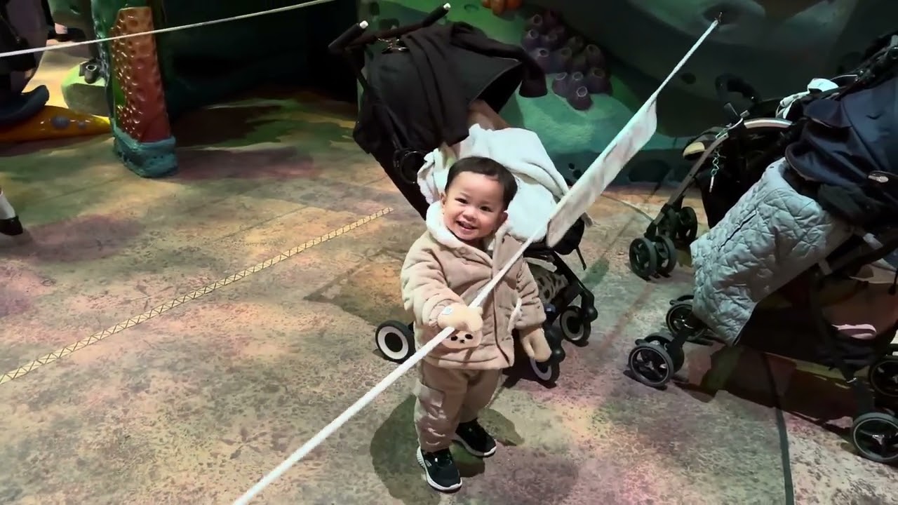 Trip to Disneysea Tokyo - Japan Vlog Eps. 6 #familyvlog #travellingwithbaby 