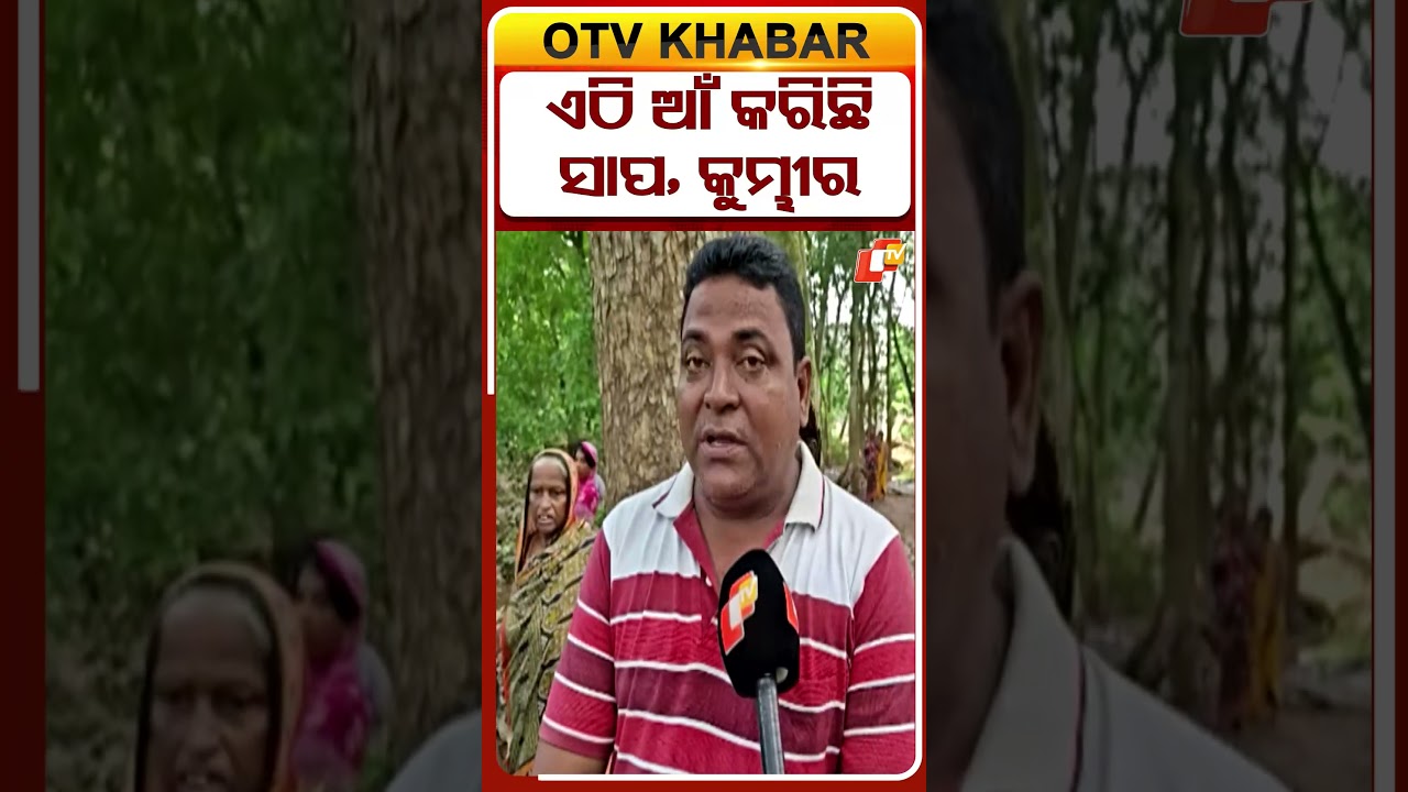 ଏଠି ଆଁ କରିଛି ସାପ, କୁମ୍ଭୀର #kendrapara #crocodile #snake #odisha #otvshorts