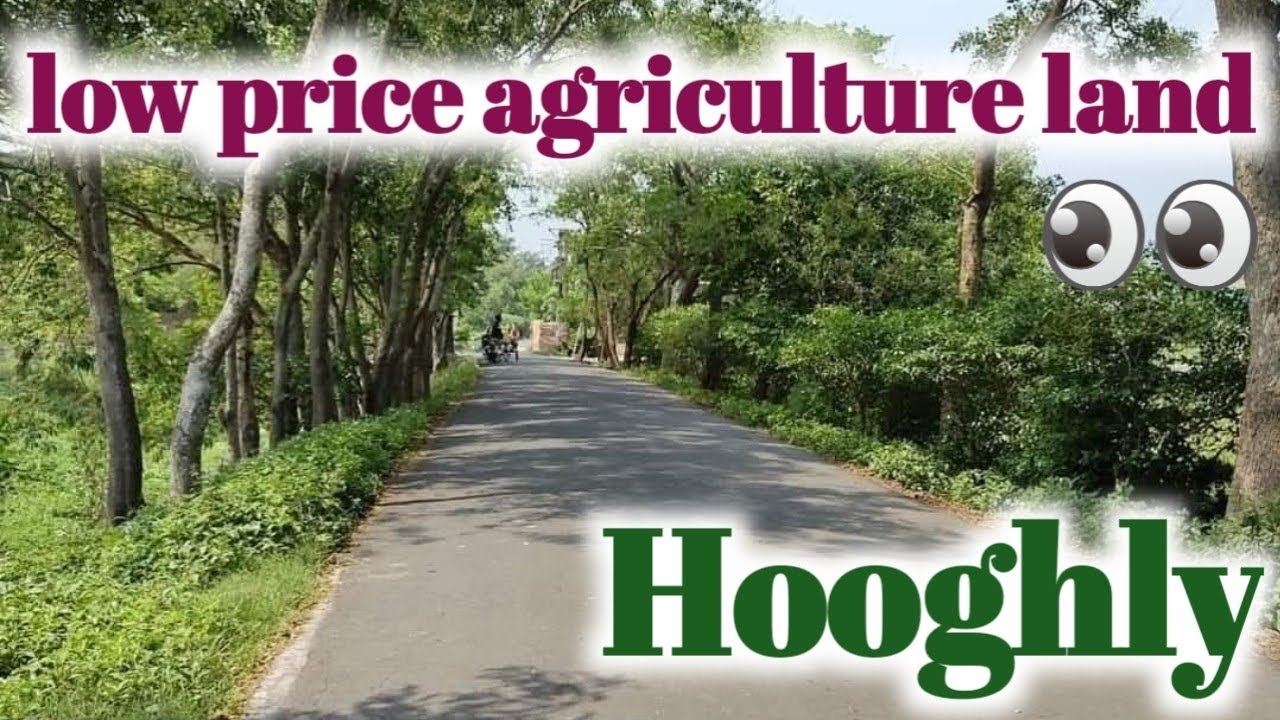 Agriculture Land sale in Dankuni West Bengal 🙏 