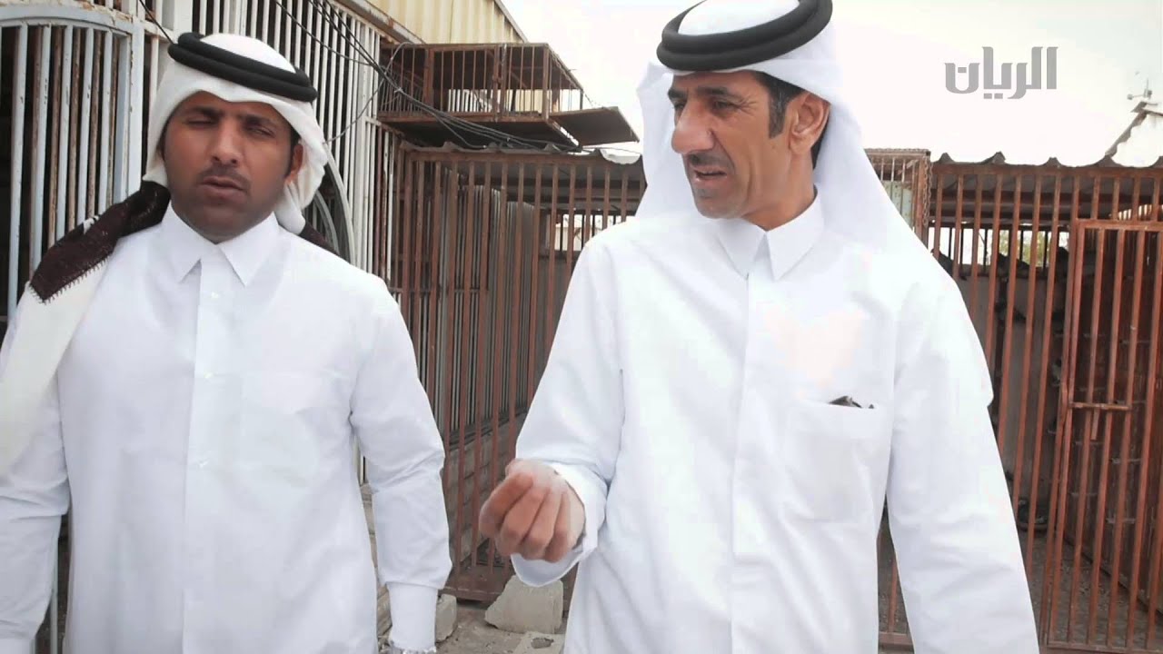 برنامج الصقار - الحلقة السابعة - 03-02-2016