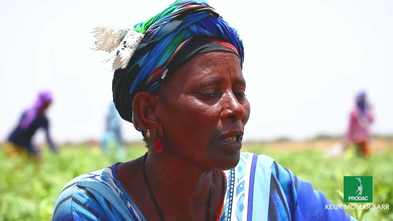 Prodac/ témoignages des coopérateurs du DAC de Keur Momar Sarr