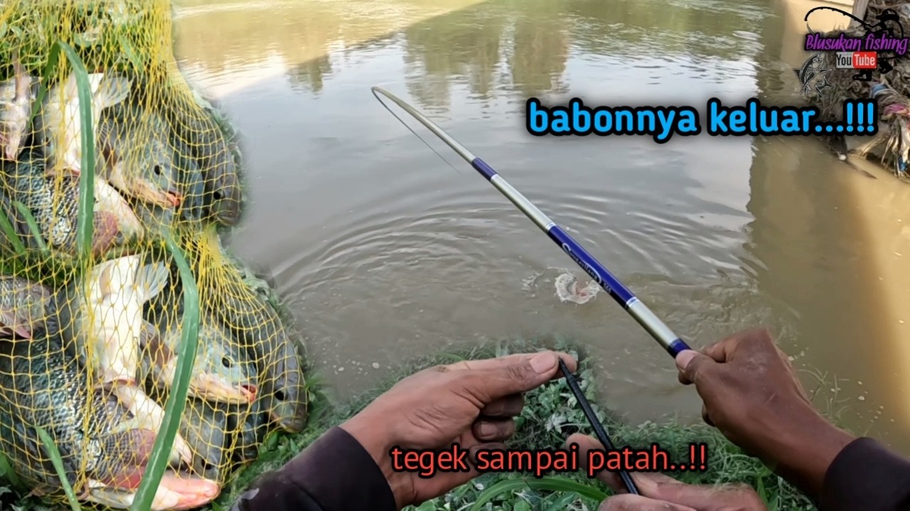 TEGEK SAMPAI PATAH ‼️ MANCING DI SUNGAI LIAR IKAN PADA GANAS