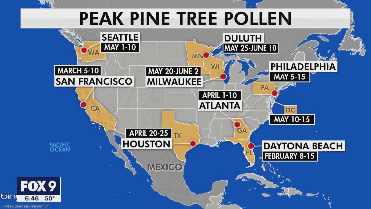 Allergy season has arrived I KMSP FOX 9