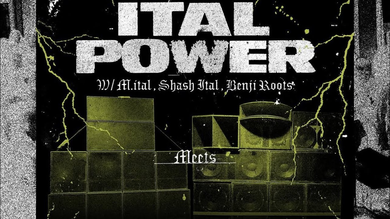 Ital Power Meets Freedom Masses Sound system Teaching In Dub Bristol 2026