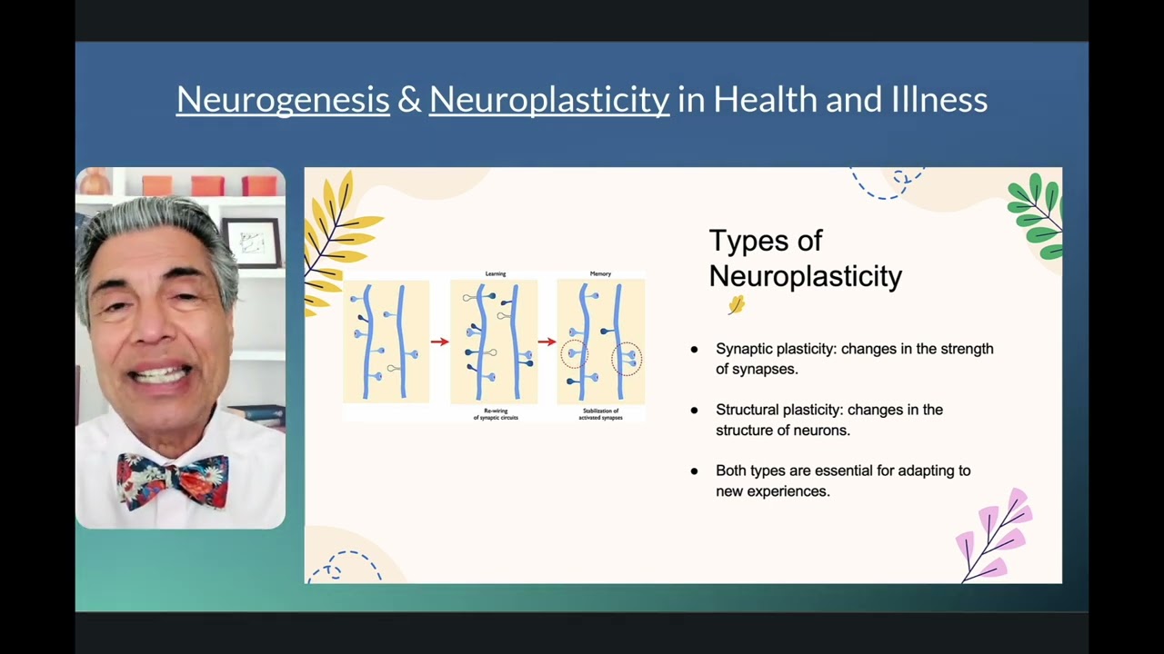 NEUROPLASTICITY and NEUROGENESIS Explained