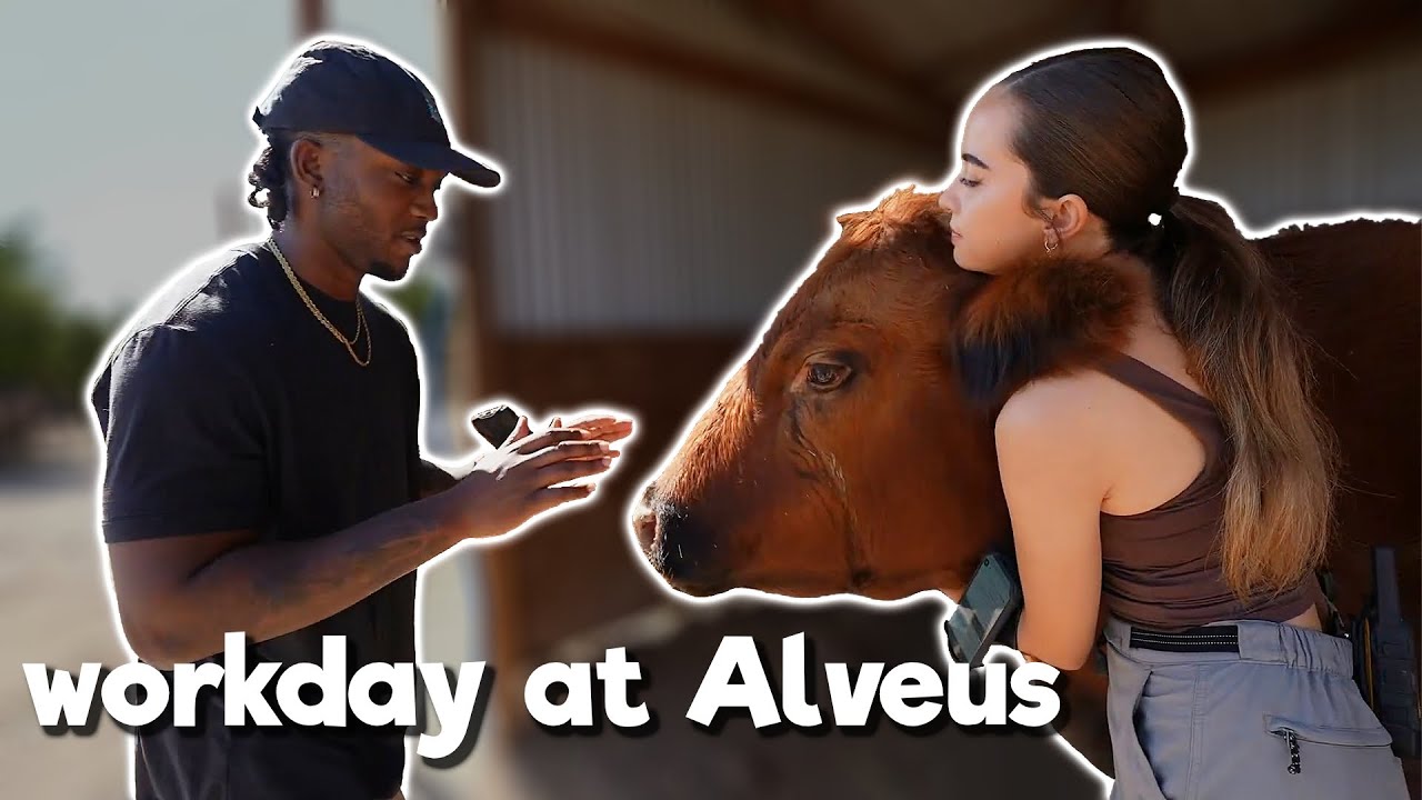 A Day in The Life at Alveus With Yourragegaming - 11/16/25