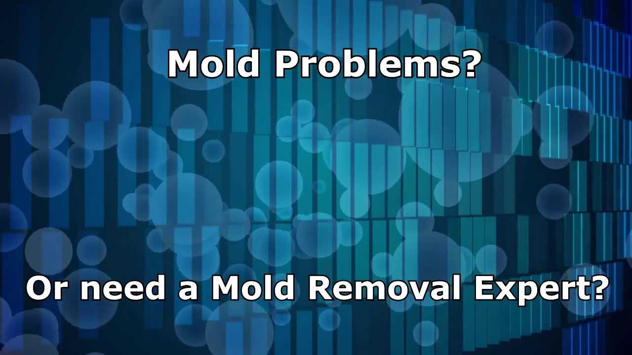 Commercial Mold Removal and Residential Mold Removal