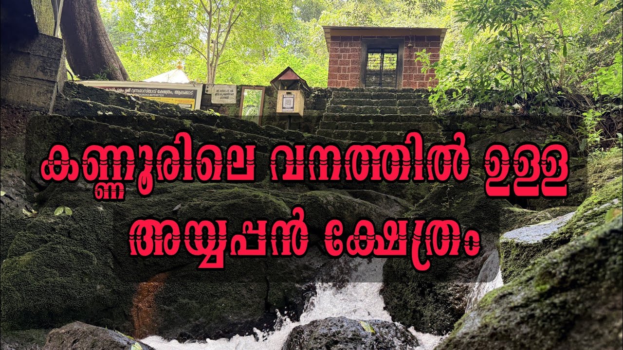 ഇതും ഒരു ശബരിമല തന്നെ.| കാശിപുരം വനശാസ്ത ക്ഷേത്രം.📍ആലക്കാട്, പയ്യന്നൂർ, കണ്ണൂർ 