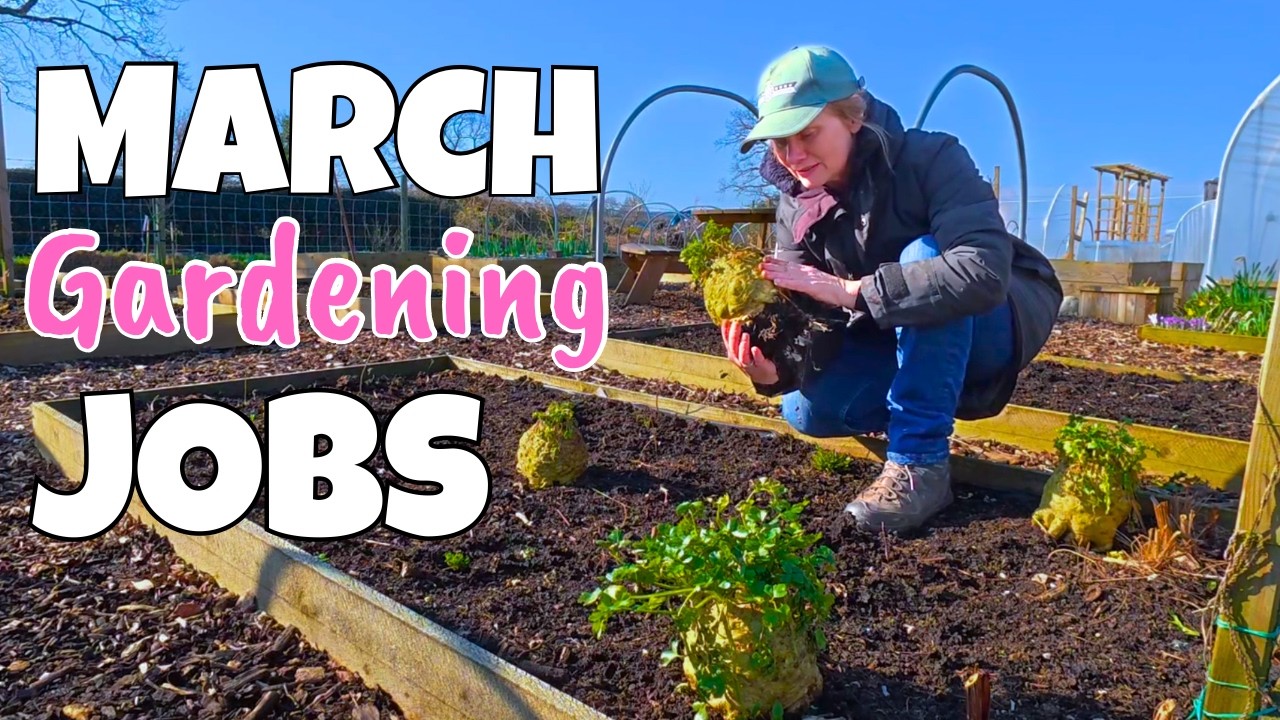 Vegetable Garden Jobs to do NOW, Before It&rsquo;s Too Late