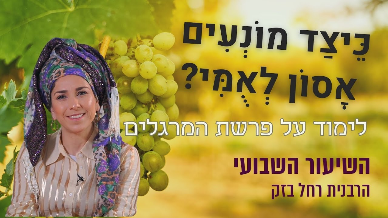 כֵּיצַד מוֹנְעִים  אָסוֹן לְאֻמִּי? | לימוד על פרשת המרגלים | הרבנית רחל בזק | סיון תשפד